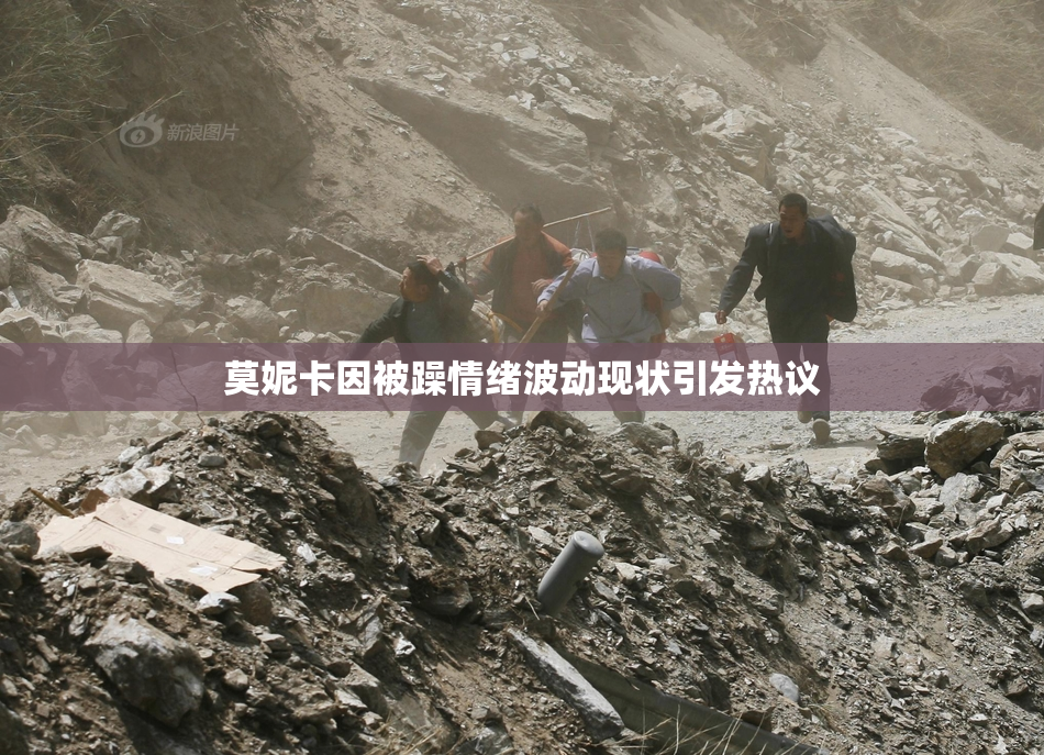 莫妮卡因被躁情绪波动现状引发热议