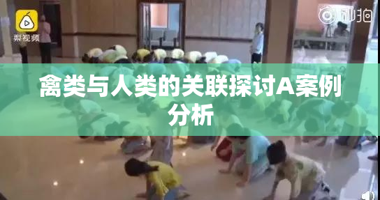 禽类与人类的关联探讨A案例分析