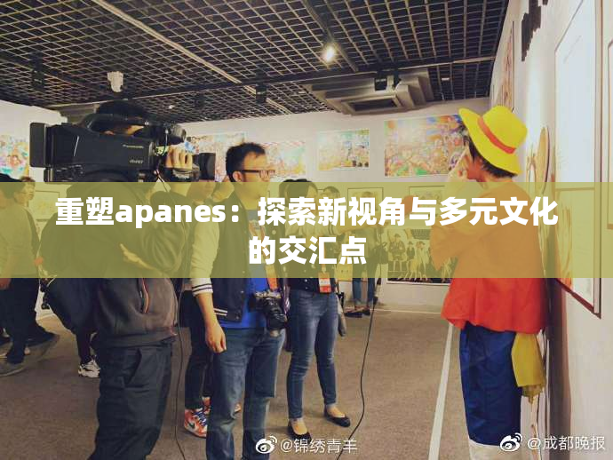 重塑apanes：探索新视角与多元文化的交汇点