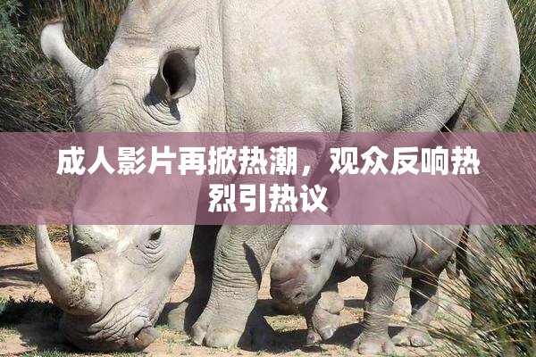 成人影片再掀热潮，观众反响热烈引热议
