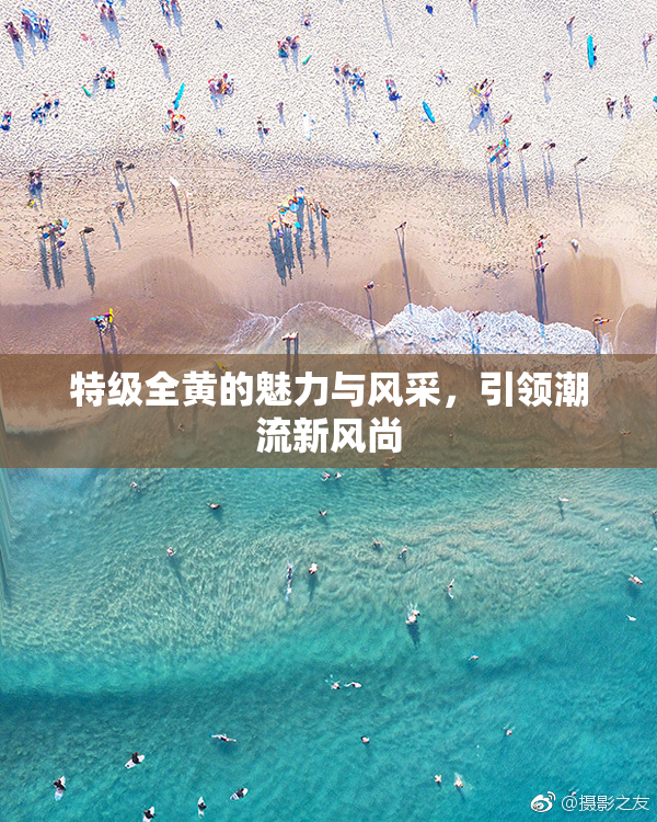 特级全黄的魅力与风采，引领潮流新风尚