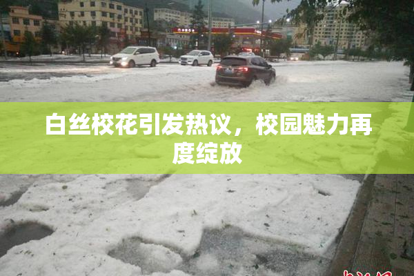 白丝校花引发热议，校园魅力再度绽放