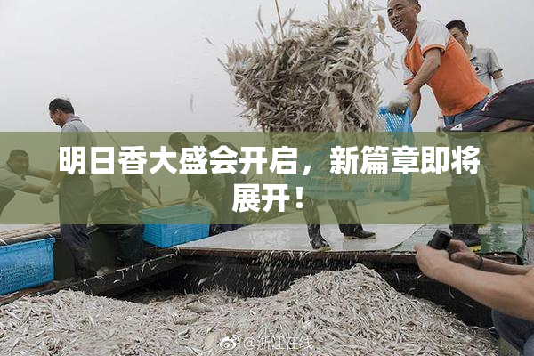 明日香大盛会开启，新篇章即将展开！