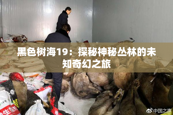 黑色树海19：探秘神秘丛林的未知奇幻之旅