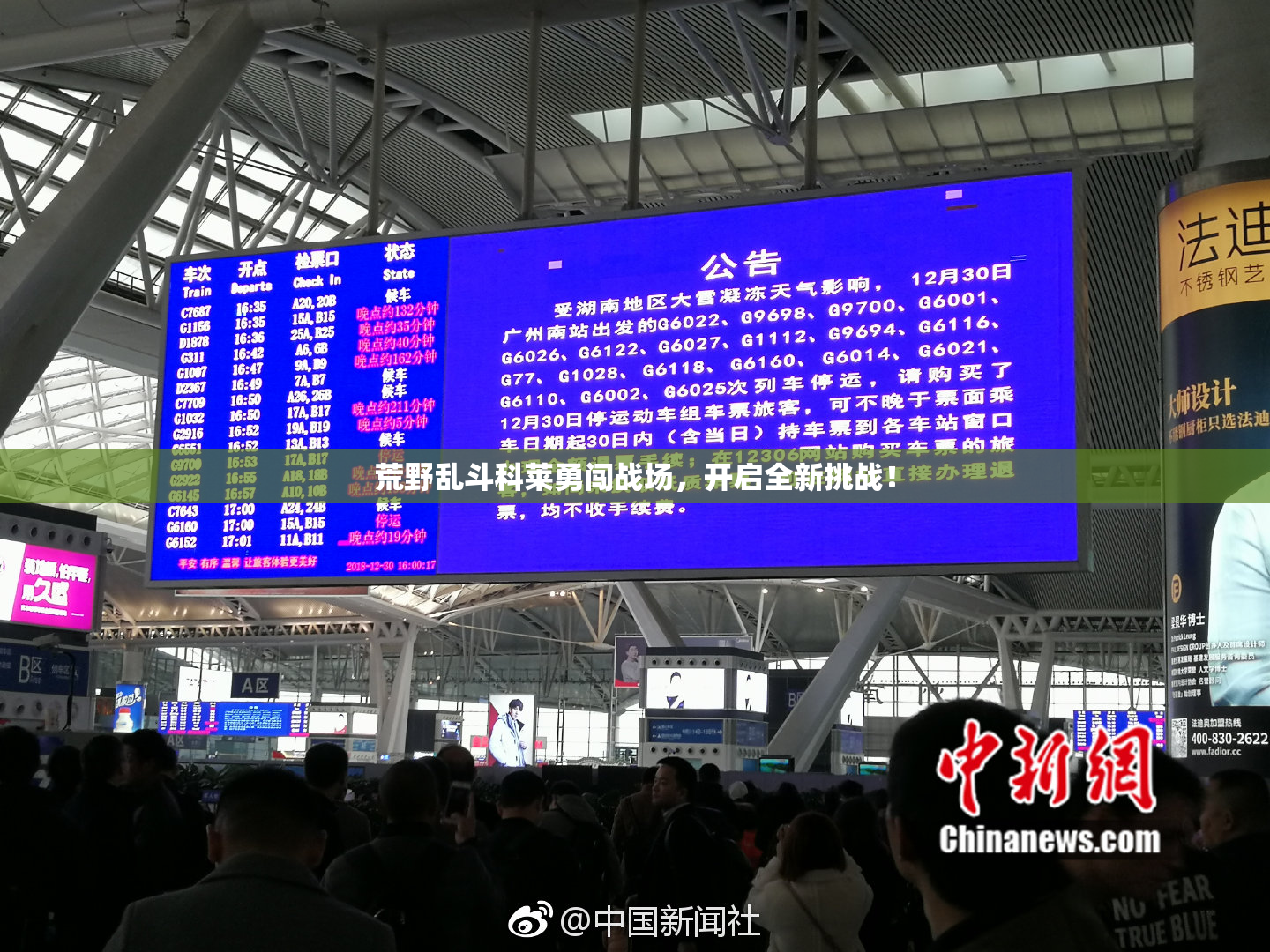 荒野乱斗科莱勇闯战场，开启全新挑战！