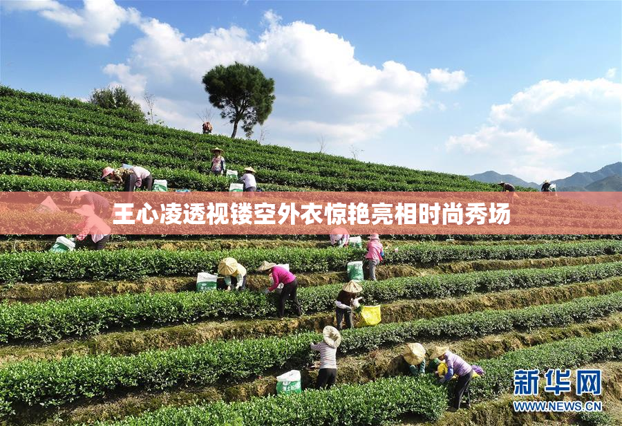 王心凌透视镂空外衣惊艳亮相时尚秀场