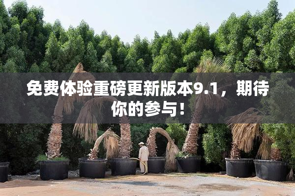 免费体验重磅更新版本9.1，期待你的参与！