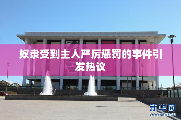 奴隶受到主人严厉惩罚的事件引发热议