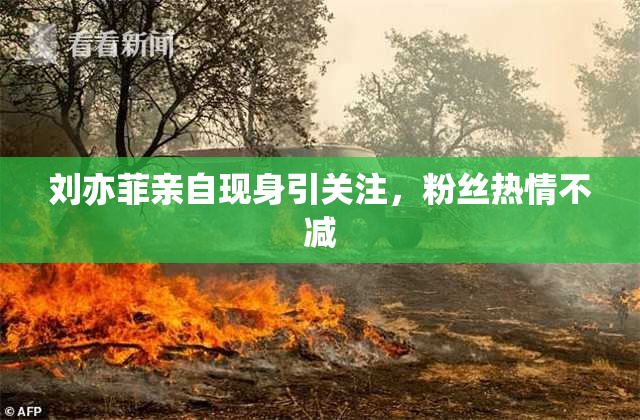 刘亦菲亲自现身引关注，粉丝热情不减