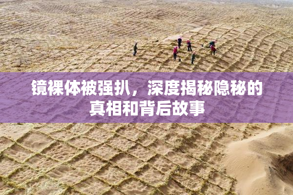 镜裸体被强扒，深度揭秘隐秘的真相和背后故事