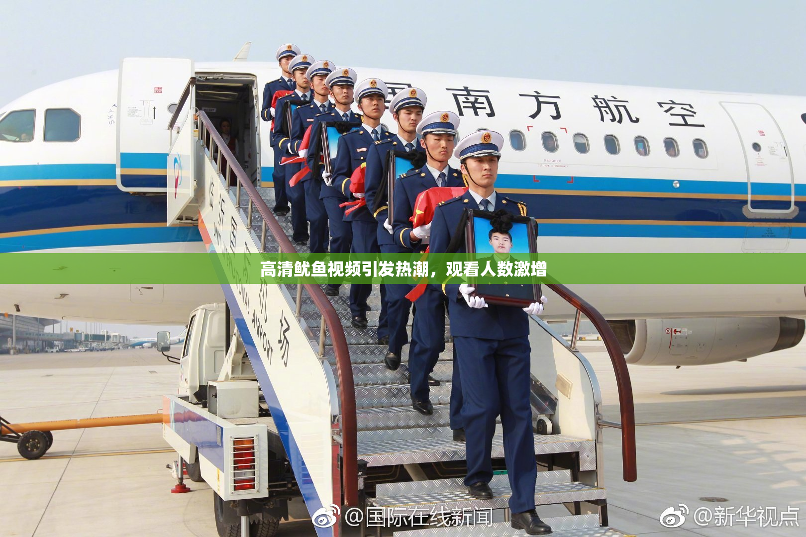 高清鱿鱼视频引发热潮，观看人数激增