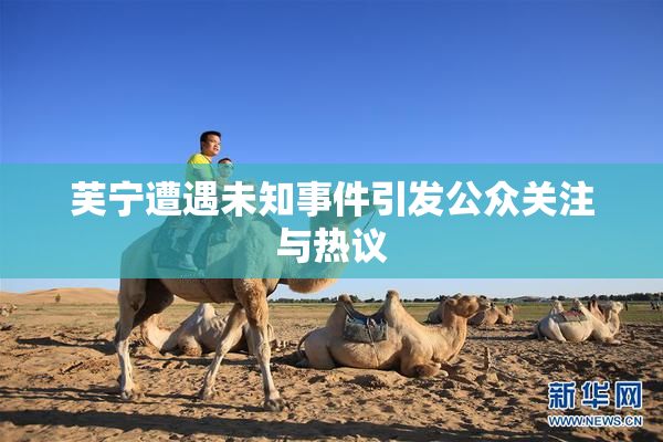 芙宁遭遇未知事件引发公众关注与热议