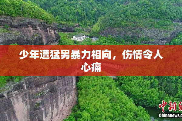 少年遭猛男暴力相向，伤情令人心痛