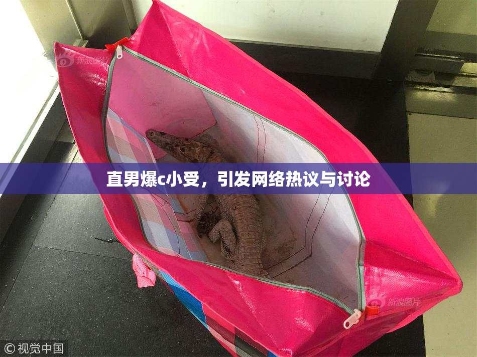 直男爆c小受，引发网络热议与讨论