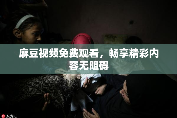 麻豆视频免费观看，畅享精彩内容无阻碍