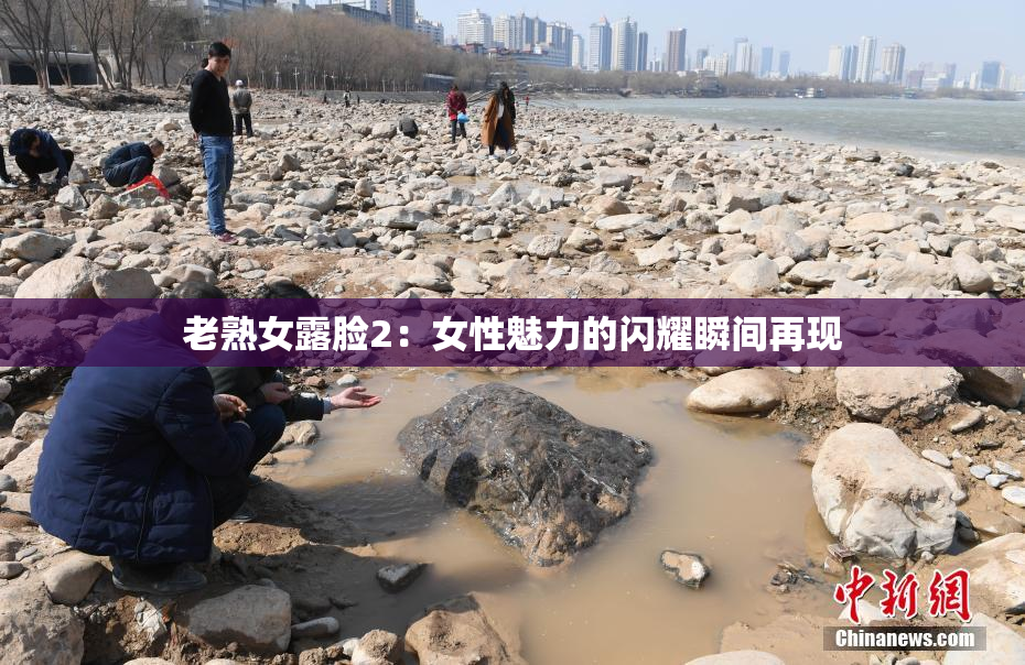老熟女露脸2：女性魅力的闪耀瞬间再现