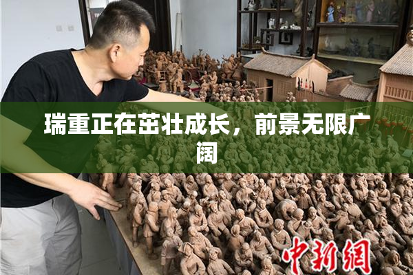 瑞重正在茁壮成长，前景无限广阔