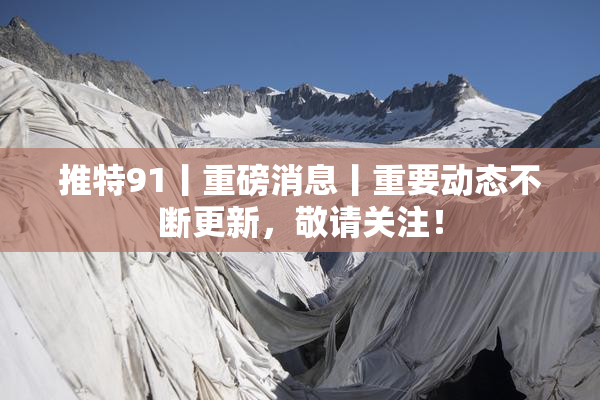 推特91丨重磅消息丨重要动态不断更新，敬请关注！