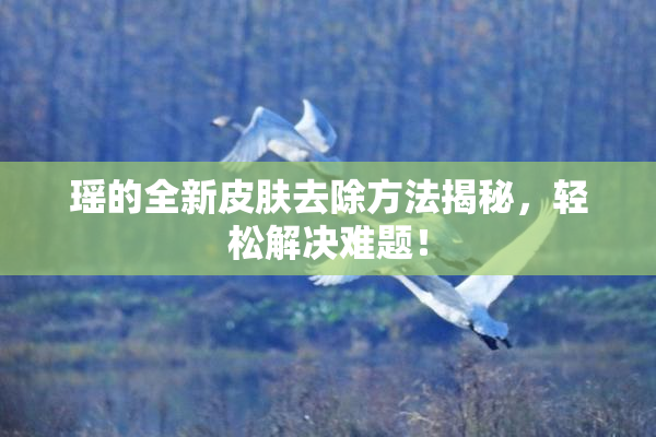 瑶的全新皮肤去除方法揭秘，轻松解决难题！