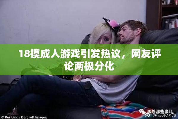 18摸成人游戏引发热议，网友评论两极分化