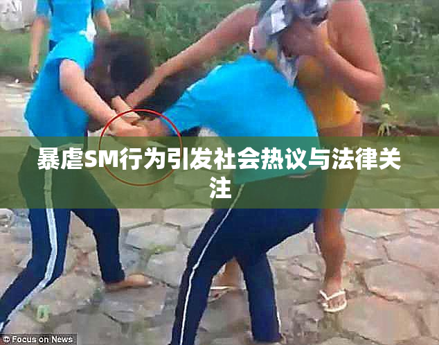 暴虐SM行为引发社会热议与法律关注
