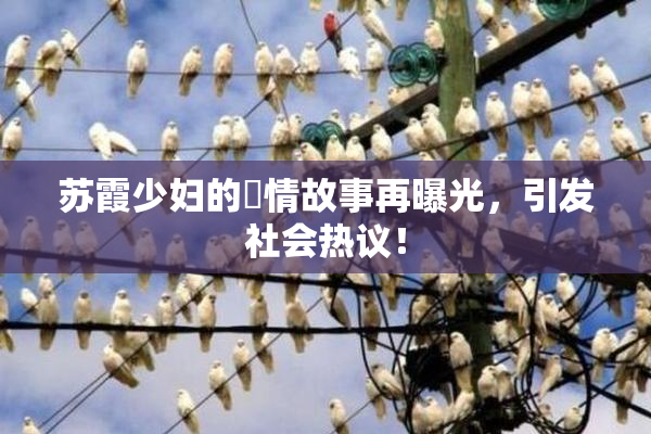 苏霞少妇的婬情故事再曝光，引发社会热议！