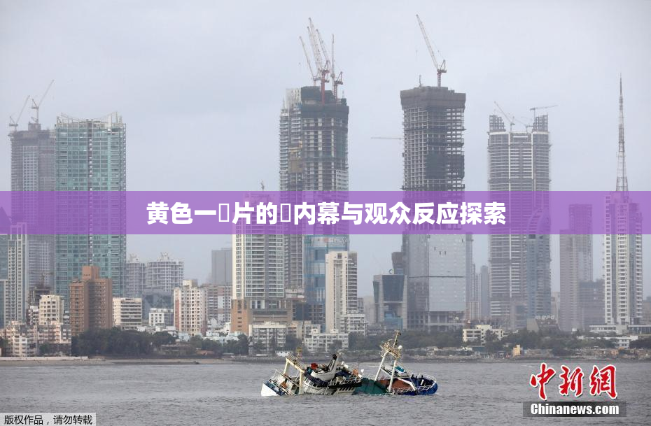 黄色一級片的黃内幕与观众反应探索