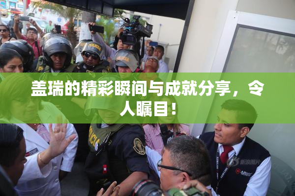 盖瑞的精彩瞬间与成就分享，令人瞩目！