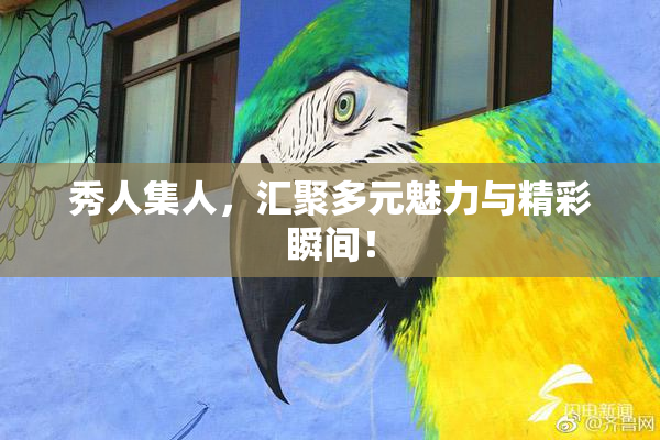 秀人集人，汇聚多元魅力与精彩瞬间！