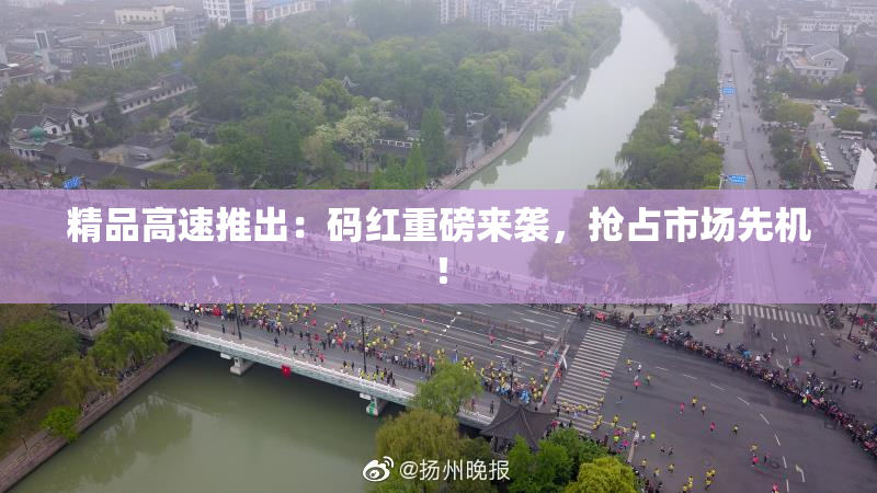 精品高速推出：码红重磅来袭，抢占市场先机！