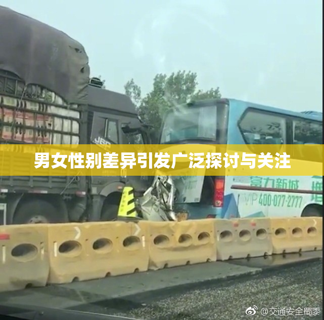 男女性别差异引发广泛探讨与关注
