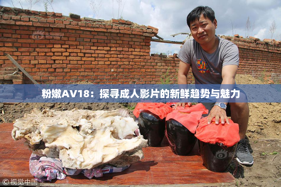 粉嫩AV18：探寻成人影片的新鲜趋势与魅力
