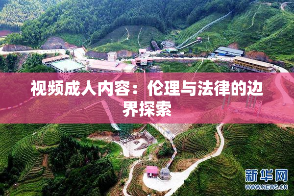 视频成人内容：伦理与法律的边界探索
