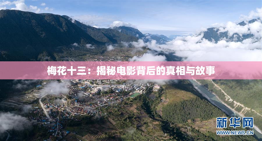 梅花十三：揭秘电影背后的真相与故事