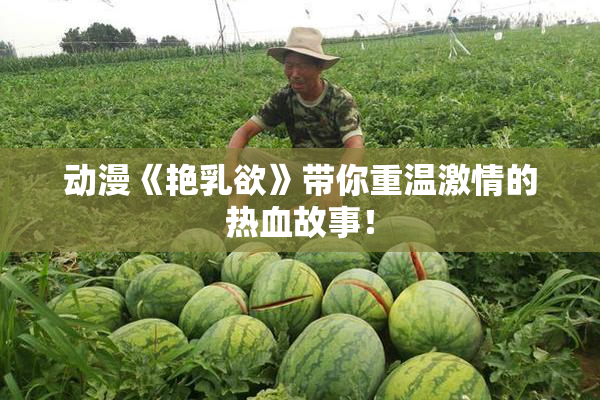 动漫《艳乳欲》带你重温激情的热血故事！