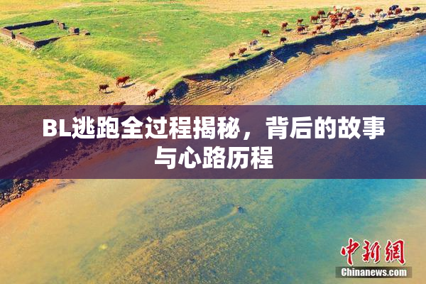BL逃跑全过程揭秘，背后的故事与心路历程