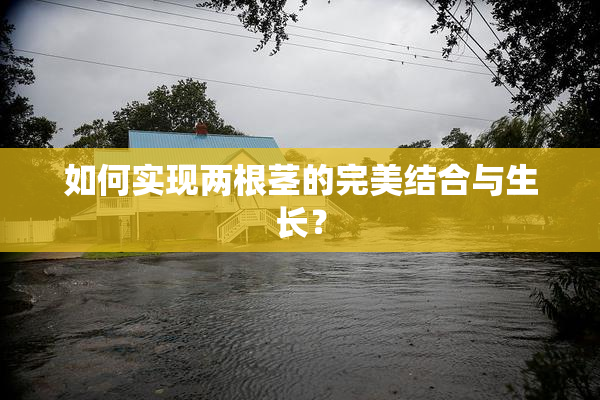如何实现两根茎的完美结合与生长？