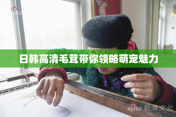 日韩高清毛茸带你领略萌宠魅力