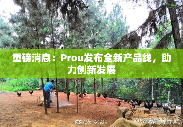 重磅消息：Prou发布全新产品线，助力创新发展