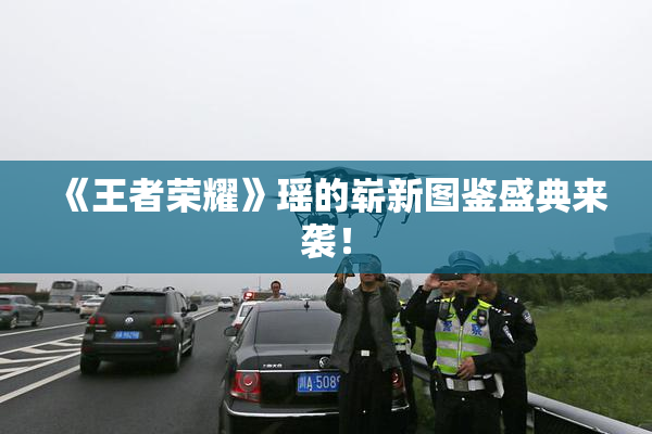 《王者荣耀》瑶的崭新图鉴盛典来袭！