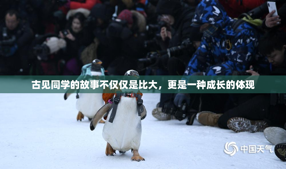 古见同学的故事不仅仅是比大，更是一种成长的体现