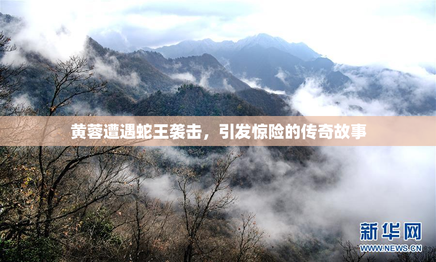 黄蓉遭遇蛇王袭击，引发惊险的传奇故事