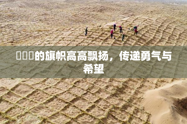 逹葢薾的旗帜高高飘扬，传递勇气与希望