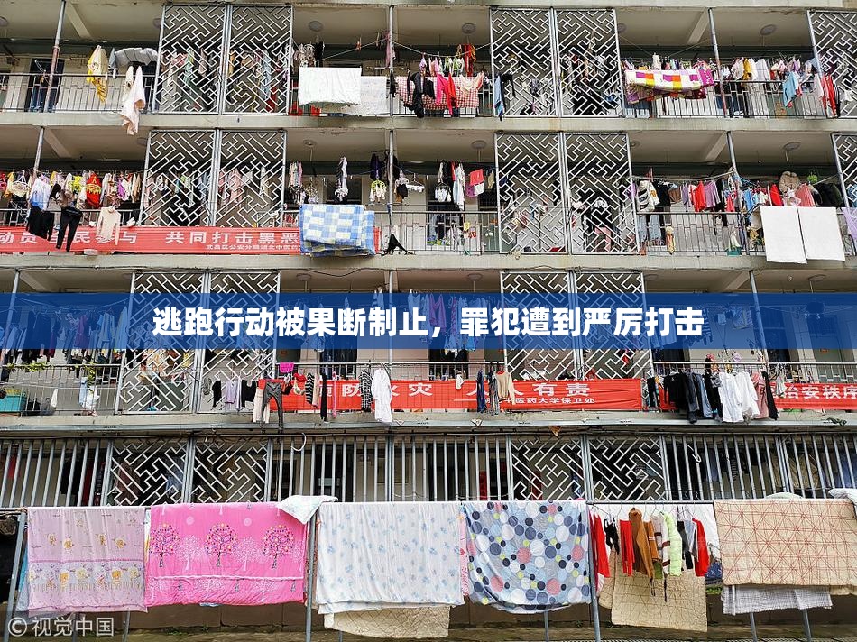逃跑行动被果断制止，罪犯遭到严厉打击