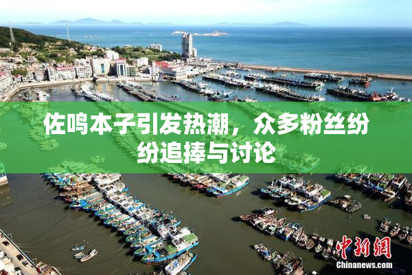佐鸣本子引发热潮，众多粉丝纷纷追捧与讨论