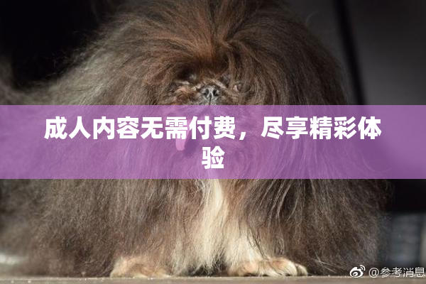 成人内容无需付费，尽享精彩体验