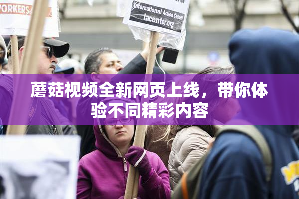 蘑菇视频全新网页上线，带你体验不同精彩内容