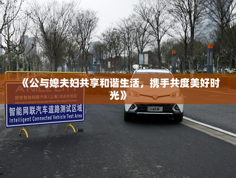 《公与媳夫妇共享和谐生活，携手共度美好时光》