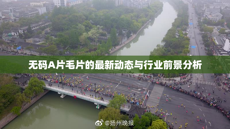 无码A片毛片的最新动态与行业前景分析
