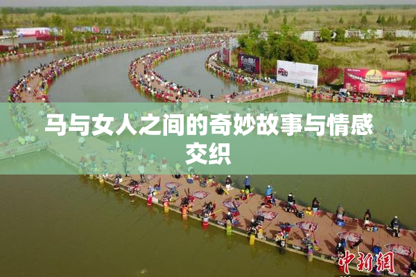 马与女人之间的奇妙故事与情感交织